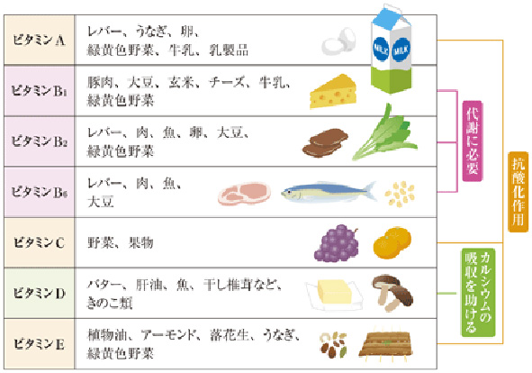 【ビタミンの多い食品】図